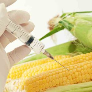 Organic Seed Companies Seek GE Classification for F1 Hybrid Seeds Image